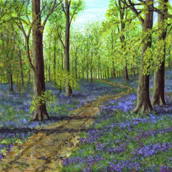 Bluebell Wood