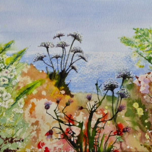 Colourful Coast NFS