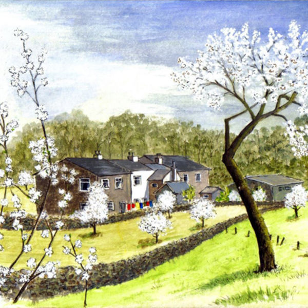 Damsonday, Lythe Valley