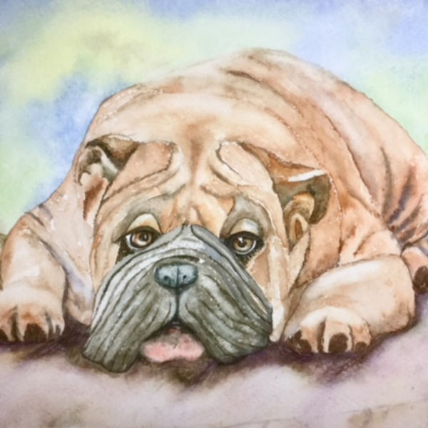 Dog Tired