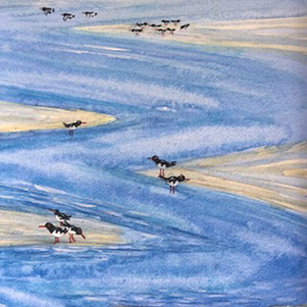 Jack Scout Oystercatchers, Watercolour