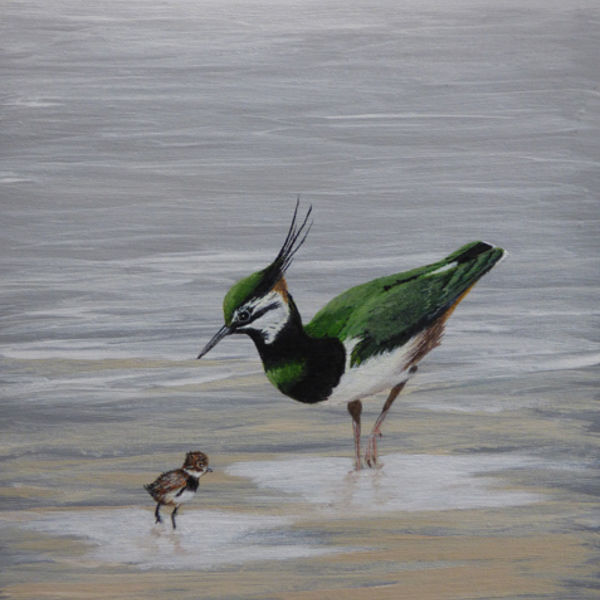 Lapwing and Young; acrylic