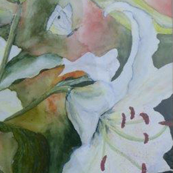 Lily; watercolour