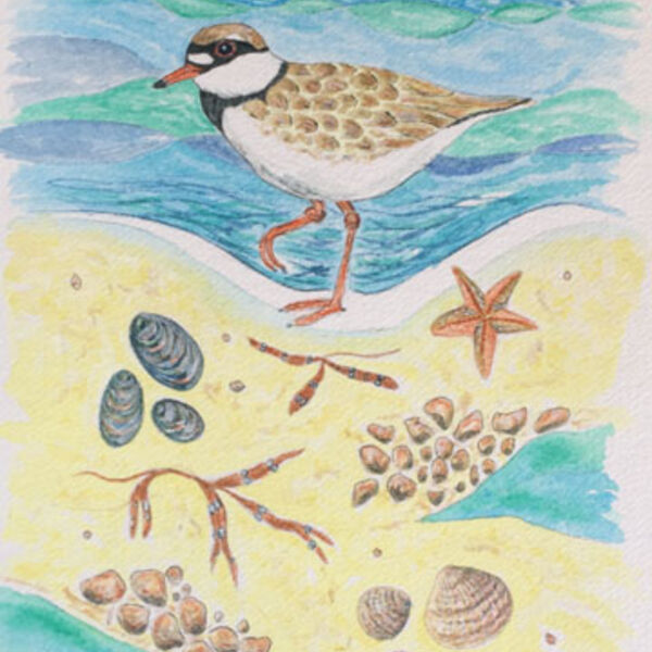 Over to Rum, watercolour FS