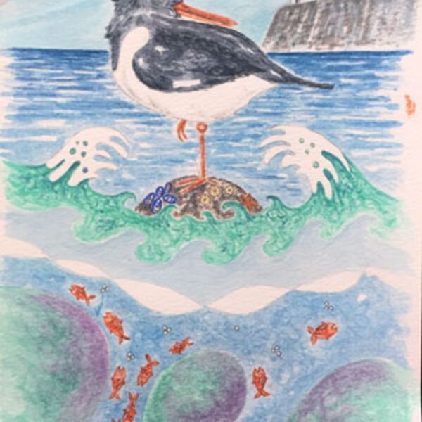 Oystercatcher Bay, watercolour FS