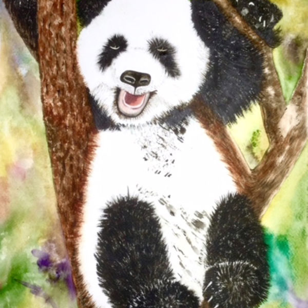 Panda S