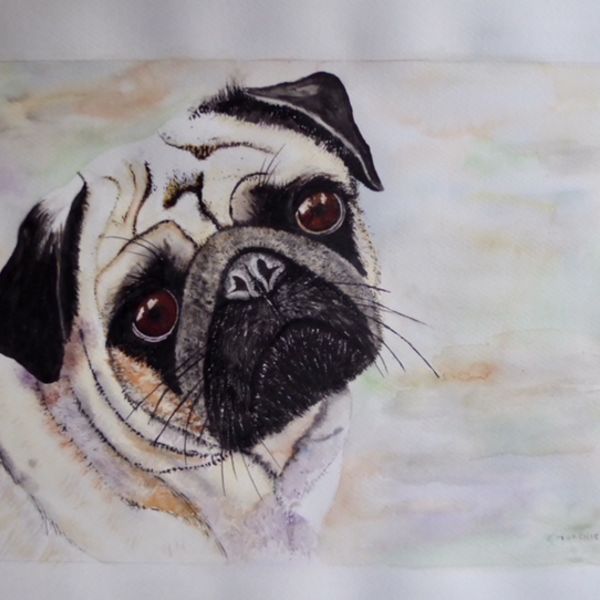 Pug S