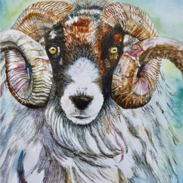 Rameses 2 NFS