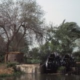 Water wheels Senuris Fayoum