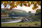 Autumn at Derwent