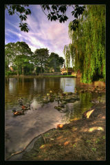 River Wye in Bakewell