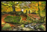 Autumn in Padley