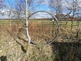 Moon ring