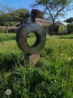 Thick steel ring small