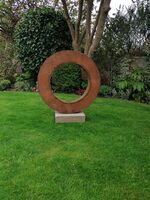 Thick steel ring medium