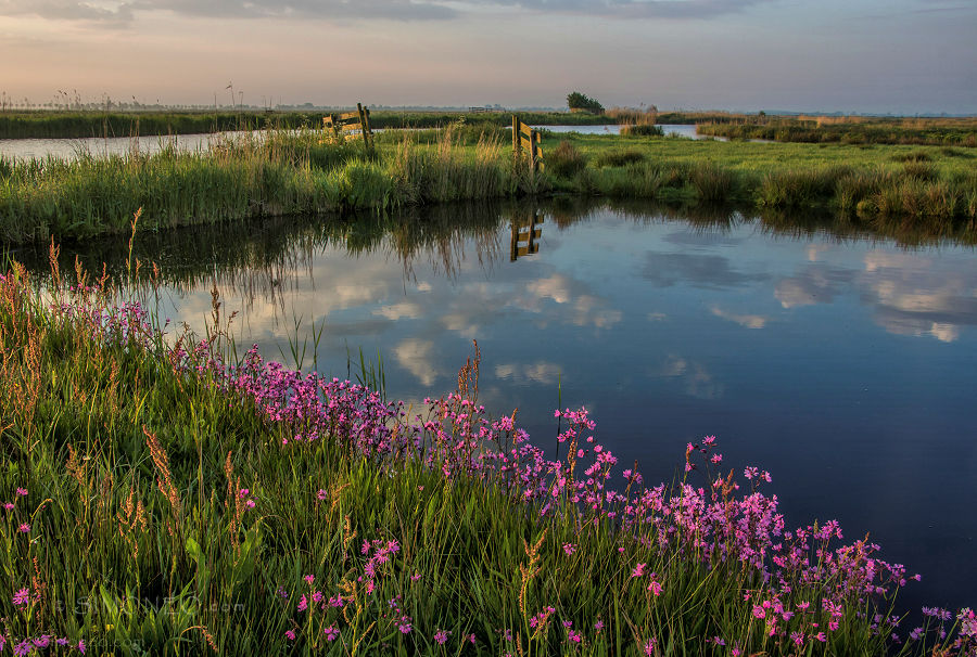 A Waterland morning