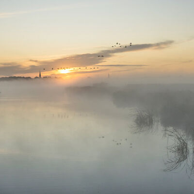 Waterlandse morgen