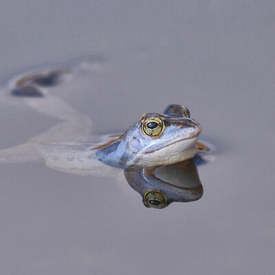 Such a handsome guy...