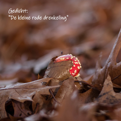 De kleine rode drenkeling