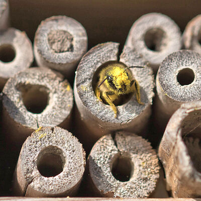 Yo! cracking good hotel they got here!