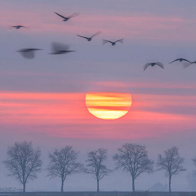 Sunrise in full colour