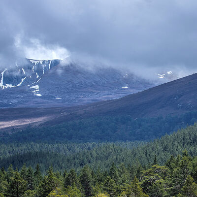 Cairngorm