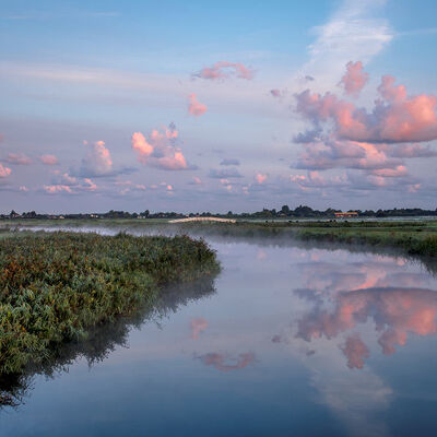 De andere kant - Dorre Ilp
