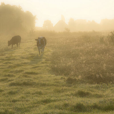 De herfst is al voelbaar
