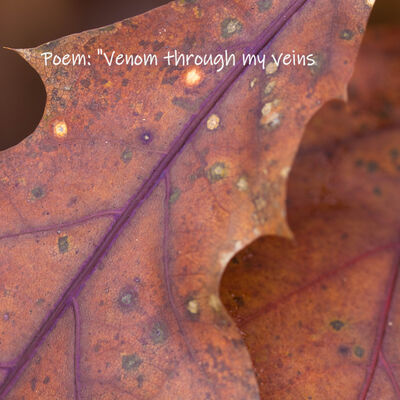 Like venom through the veins