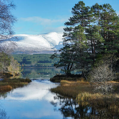 Cairngorm in the distance