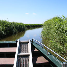 Workshop fotograferen in Waterland met Staatsbosbeheer