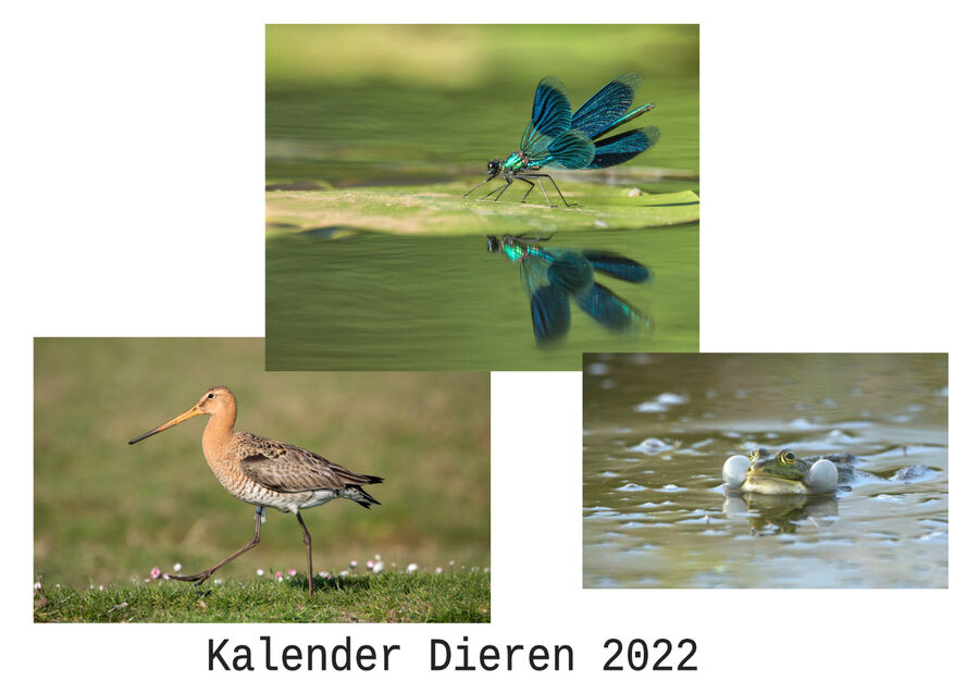Kalender dieren 2022