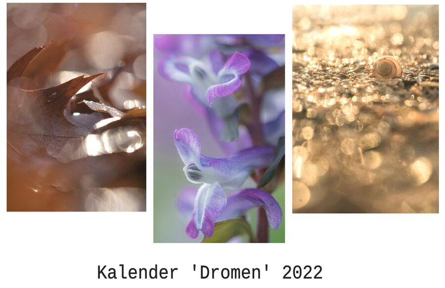 Kalender 'dromen' 2022