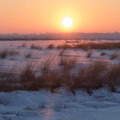 Zonsopkomst over het veen