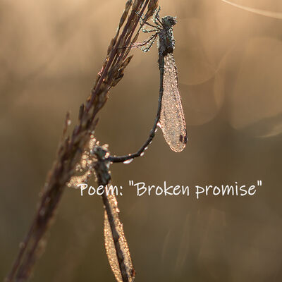 Broken promise