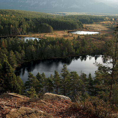 Cairngorms National Park, Schotland
