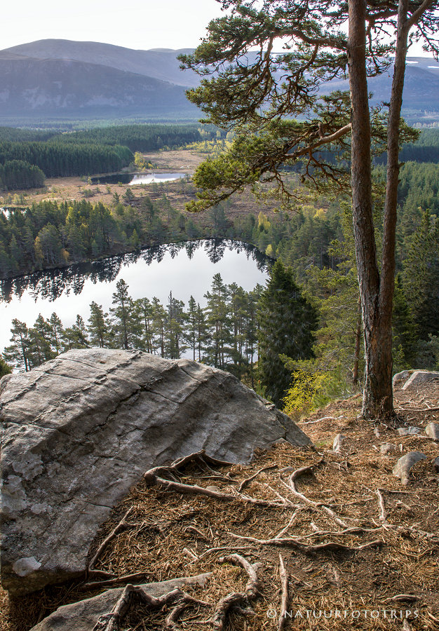Uath Lochans, Glen Fehsie, Schotland