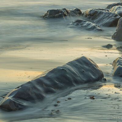 New Forest National Park
