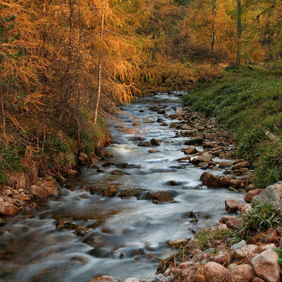 ASchotland: Allt Ruadh in Glenfeshie (Cairngorms National Park-Schotland)