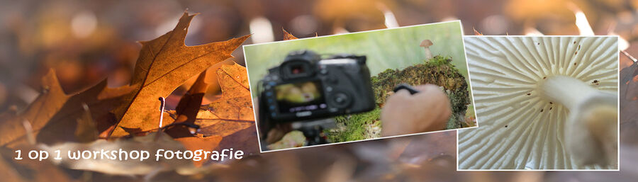 één op één workshops