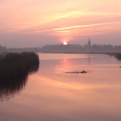 Spring: misty sunrise in Waterland