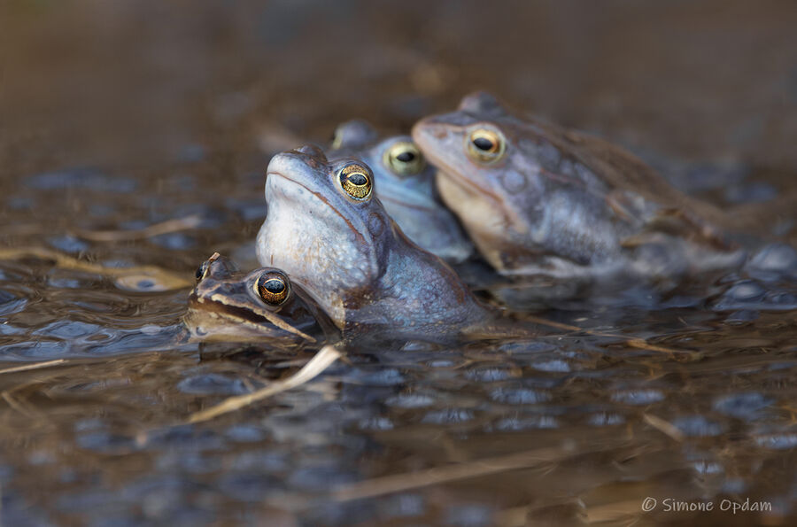 There's a party going on