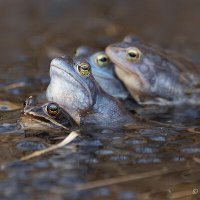 There's a party going on