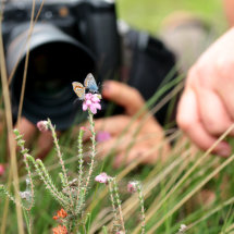 workshop macrofotografie