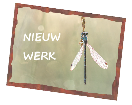 nieuw werk
