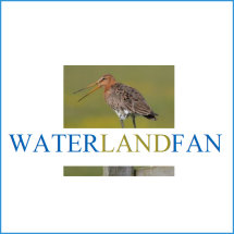 Fb pagina Waterlandfan mmv Simone Opdam