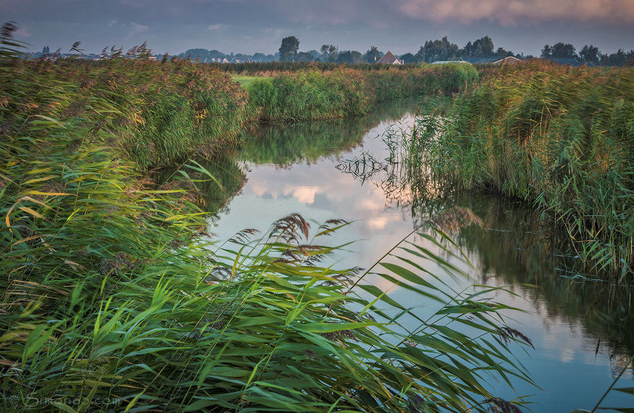 Waterland