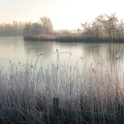 De Purmer onder een laagje rijp