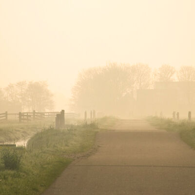 Waterland on a misty moring