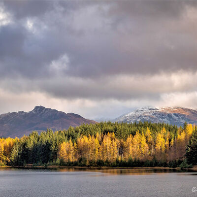 Schotland: Light, love, Loch Laggan
